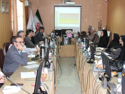 برگزاری اولین جلسه سند ملی امنیت غذایی،تغذیه و ایمنی غذا در اداره کل استاندارد استان فارس