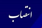 مدیرعامل جدید شرکت نفت فارس منصوب شد